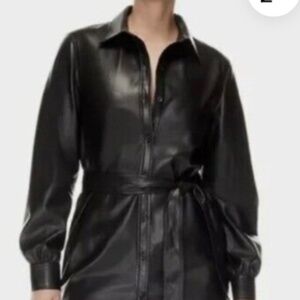 Aritzia Wilfred Caroline Dress